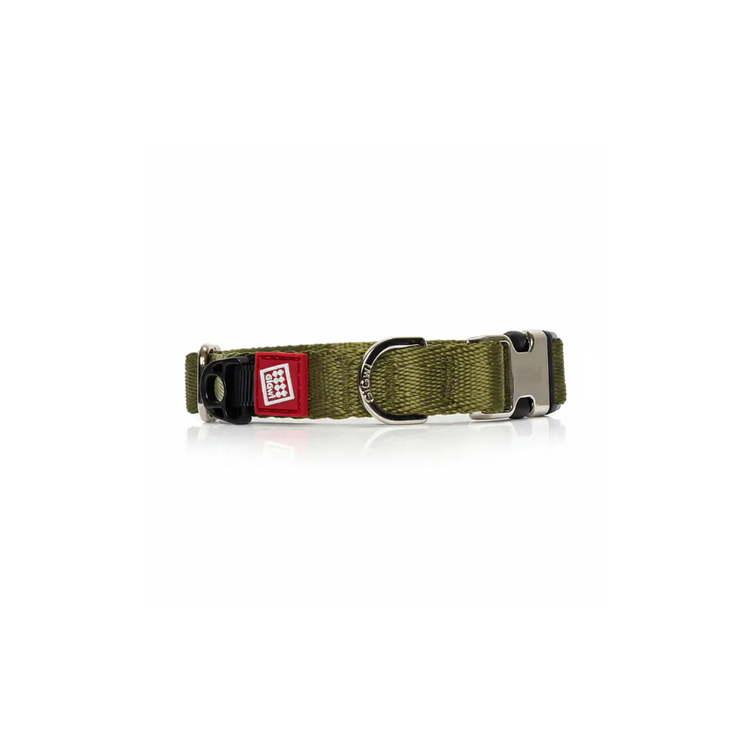 Gigwi Collar Talla ''XL'' Verde 3
