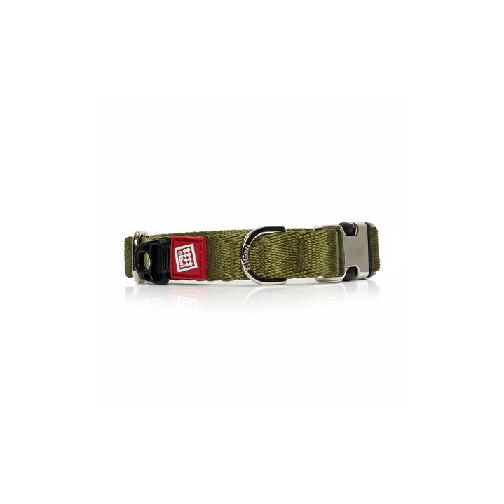 Gigwi Collar Talla ''XL'' Verde 3