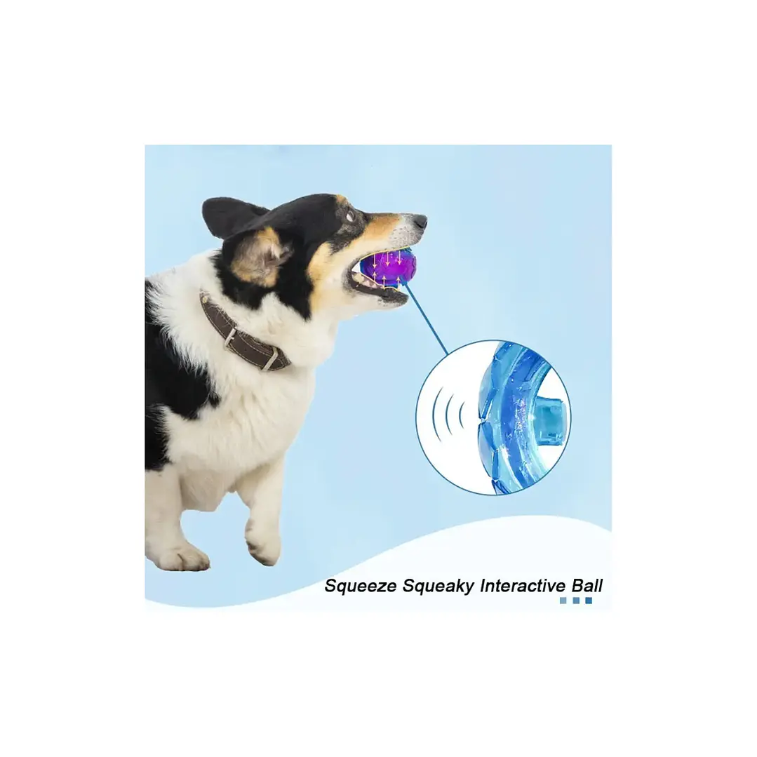 Pelotas Para Perros Squeak 3 Unidades Talla S Gigwi 4