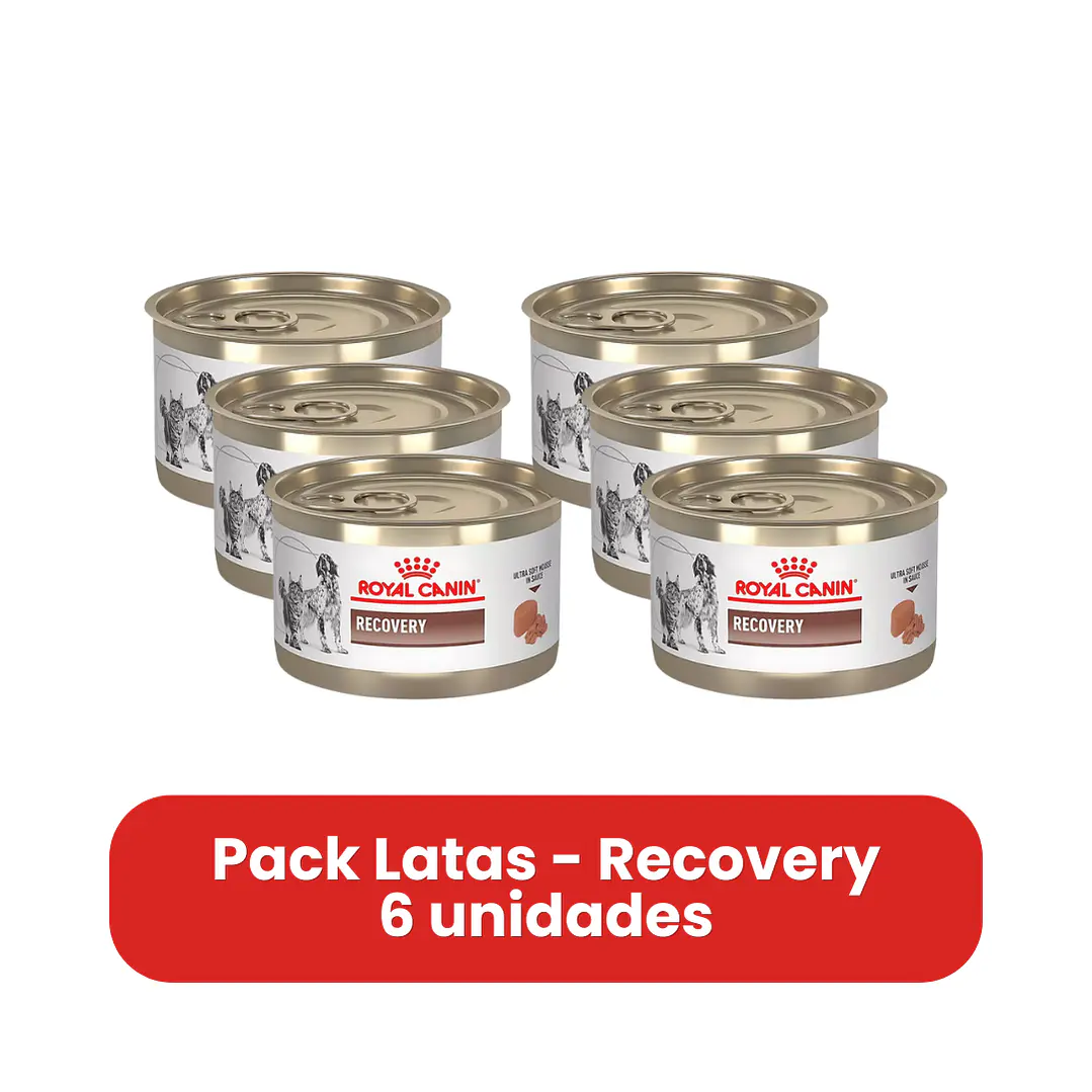 Royal Canin Recovery Para Perros Y Gatos - Pack 6 Unidades 1