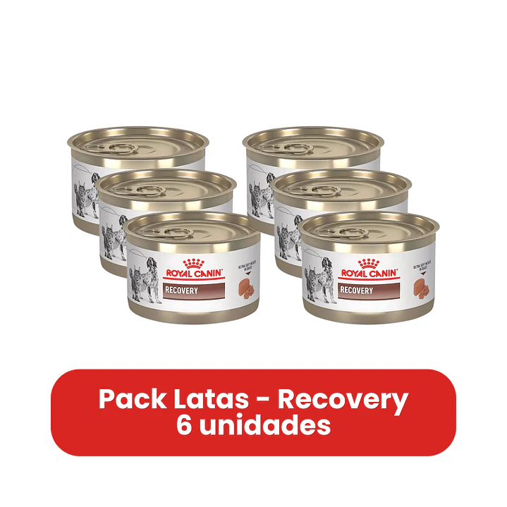 Royal Canin Recovery Para Perros Y Gatos - Pack 6 Unidades 1