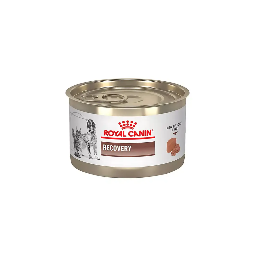 Royal Canin Recovery Para Perros Y Gatos - Pack 6 Unidades 4