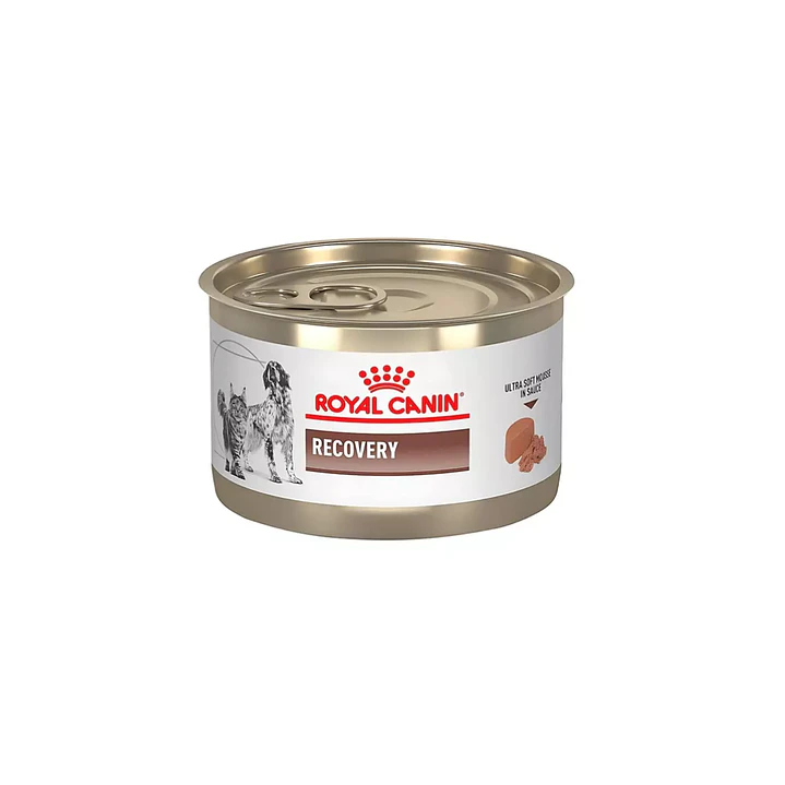 Royal Canin Recovery Para Perros Y Gatos - Pack 6 Unidades 4