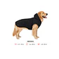 Chaqueta Con Chiporro 7XL Para Perros - Miniatura 2