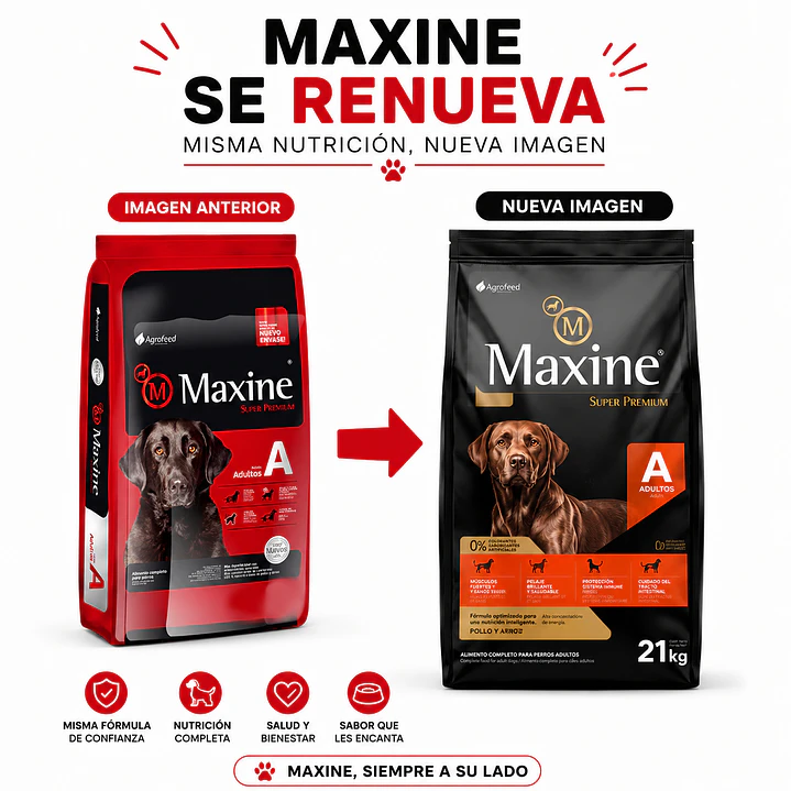 Maxine Adulto 21 Kilos 1