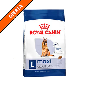 Royal Canin Maxi Adulto 5+ 12Kg