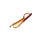 Gigwi Correa Classic Linea Colores S/M/L/XL - Miniatura 2