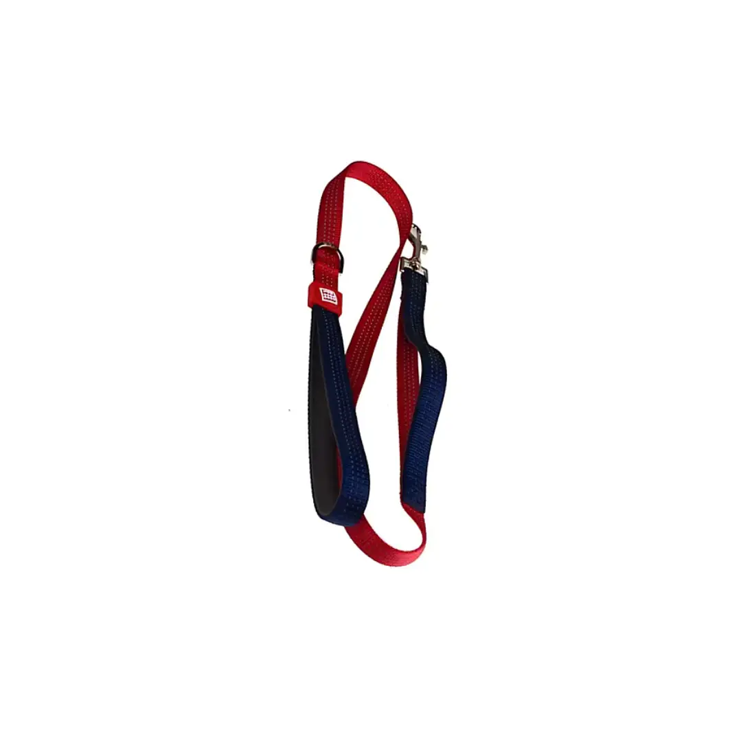 Gigwi Correa Classic Linea Colores S/M/L/XL 3