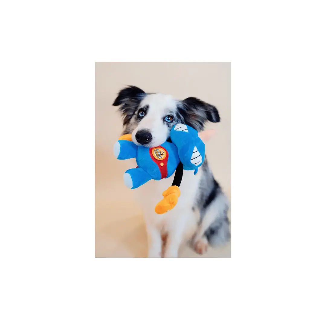 Peluche Rock Zoo Gigwi Rinoceronte Para Perros 2