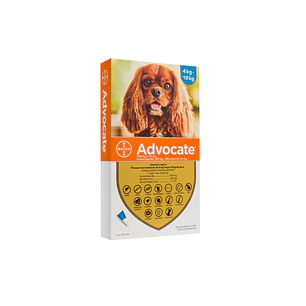 Advocate Pipeta Perro 4 kg – 10 kg