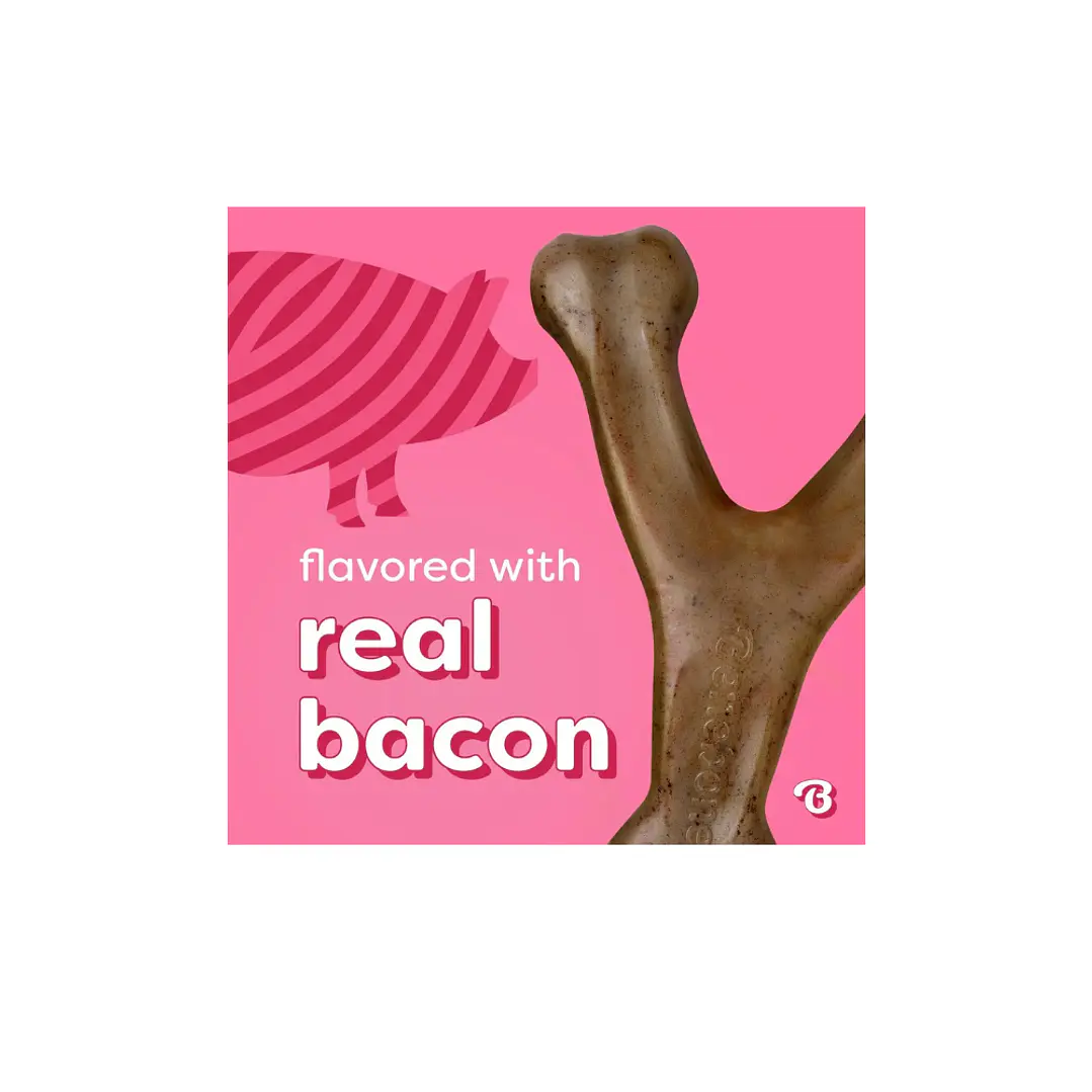 Hueso Benebone Wishbone Bacon Small 2