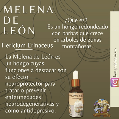 Melena de León 