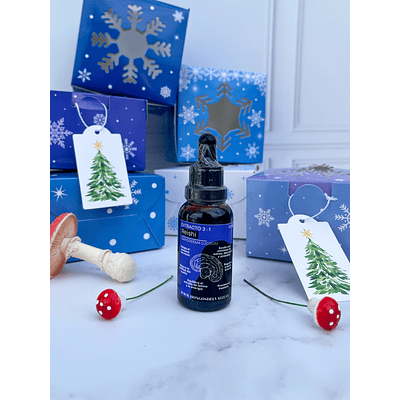 Kit navidad 1 extracto