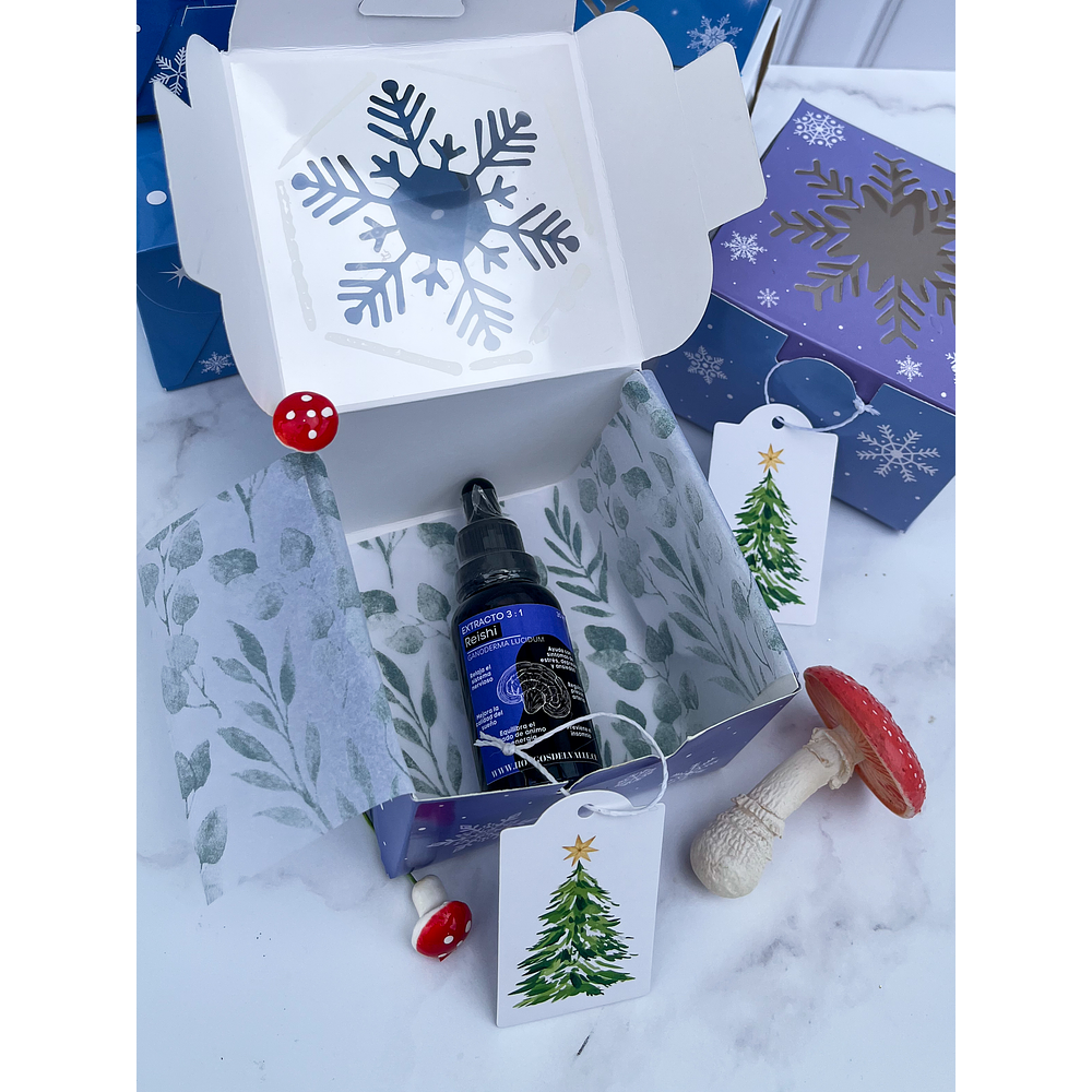 Kit navidad 1 extracto