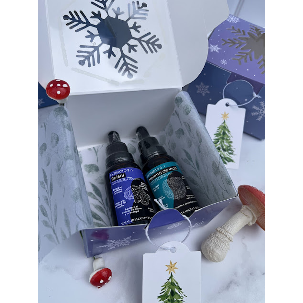 Kit navidad 2 extractos