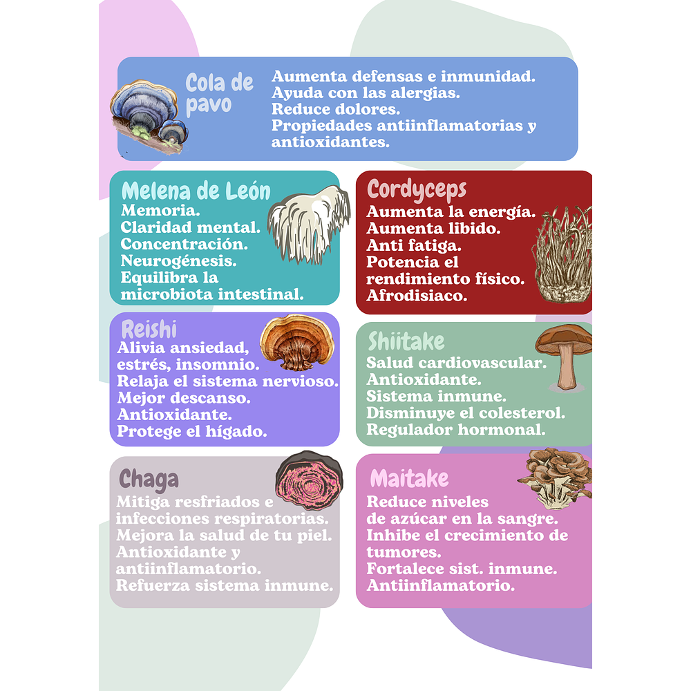 Kit navidad 1 cápsula + 1 extracto