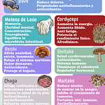 Kit navidad 1 cápsula