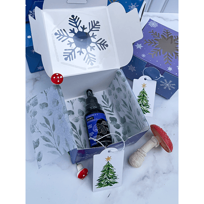 Kit navidad 1 cápsula