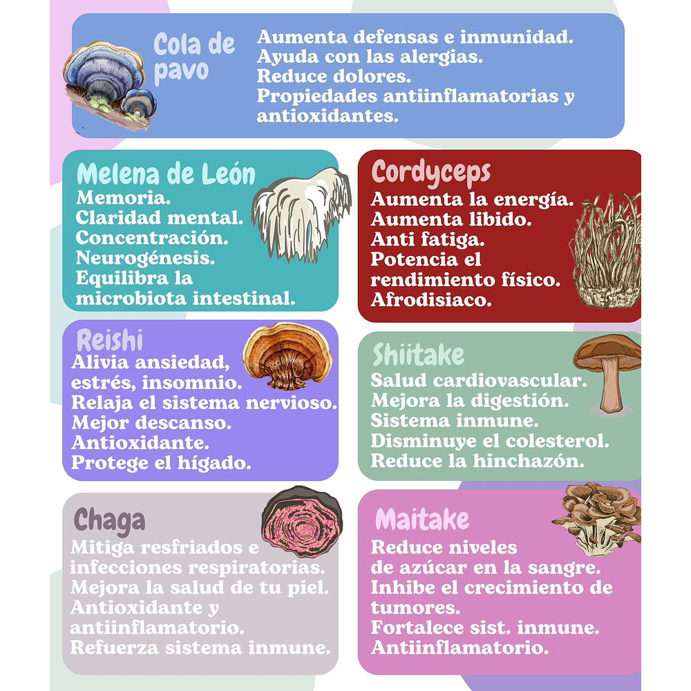 Extractos concentrados 3:1 (Para 60 días)