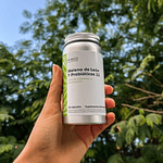 Cápsula Melena de león con Probióticos (Para 60 días)