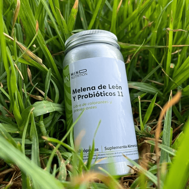 Cápsula Melena de león con Probióticos (Para 60 días)