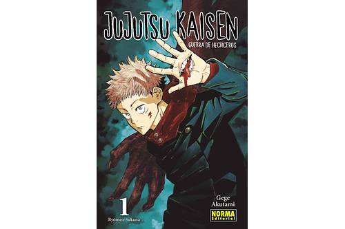 Jujutsu Kaisen 01