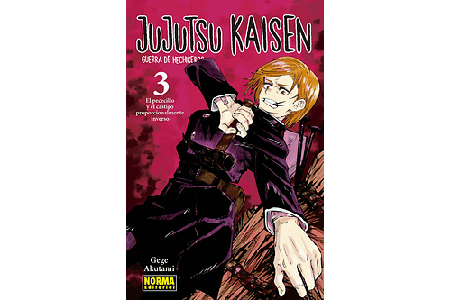 Jujutsu Kaisen 03