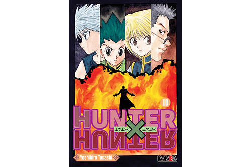 Hunter x Hunter 10