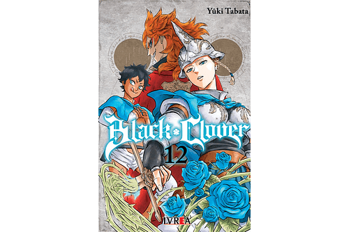 Black Clover 12