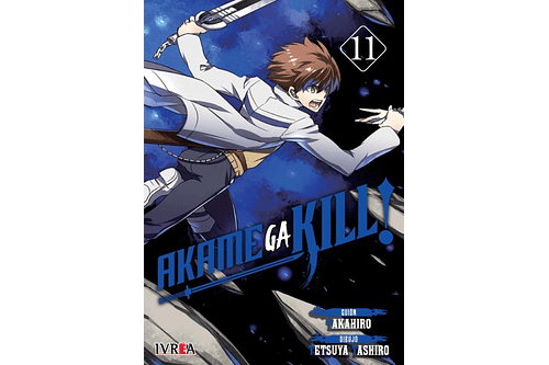 Akame ga Kill 11