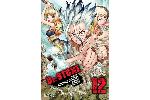 Dr. Stone 12