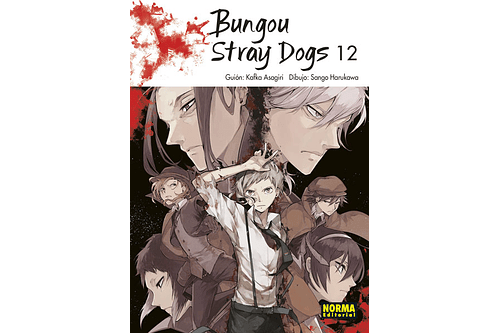 Bungou Stray Dogs 12