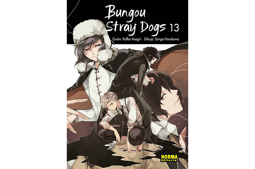 Bungou Stray Dogs 13