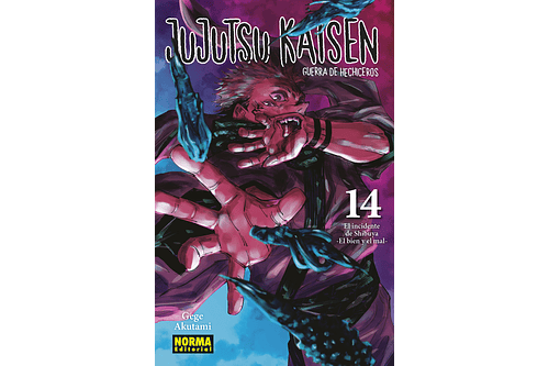 Jujutsu Kaisen 14