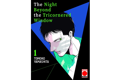 The Night Beyond The Tricornered Window 1
