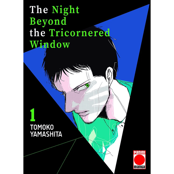 The Night Beyond The Tricornered Window 1