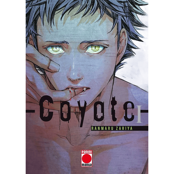 Coyote 01