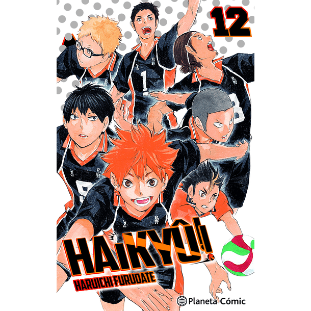 Haikyu! 12