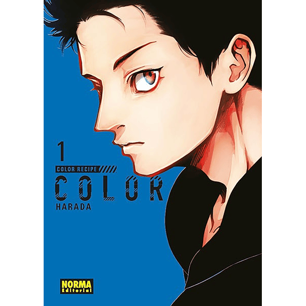 Color Recipe 01