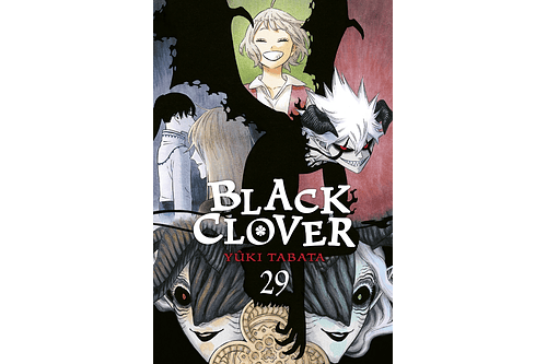 Black Clover 29