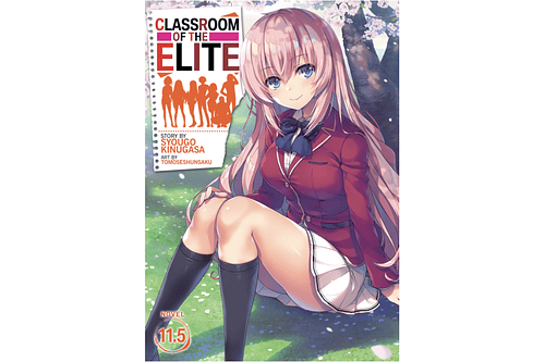Classroom of the Elite 11.5 - Novela (Inglés)