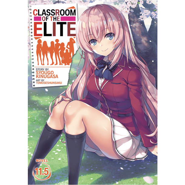 Classroom of the Elite 11.5 - Novela (Inglés)