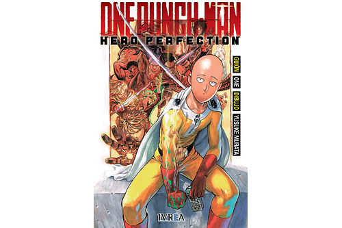 One Punch Man - Hero perfection