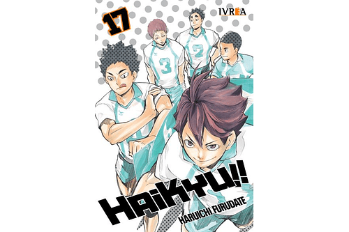 Haikyu!! 17