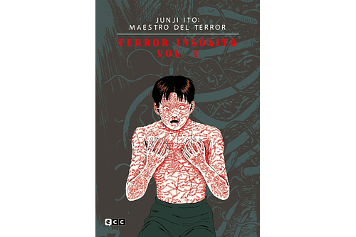 Junji Ito: Maestro del Terror - Terror insólito 01