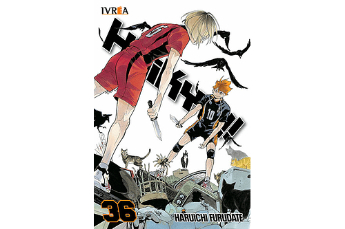Haikyu!! 36