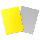 Protectores Standard Dual Matte Dragon Shield - Yellow & Silver 2