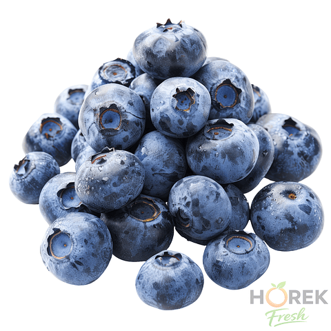 ARANDANO NATURAL KILO