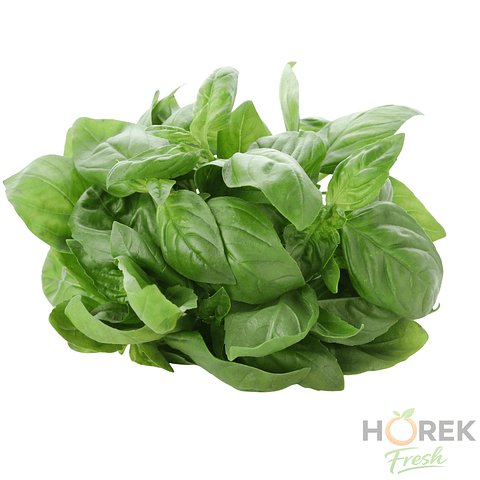 ALBAHACA PROCESADA 500 GR