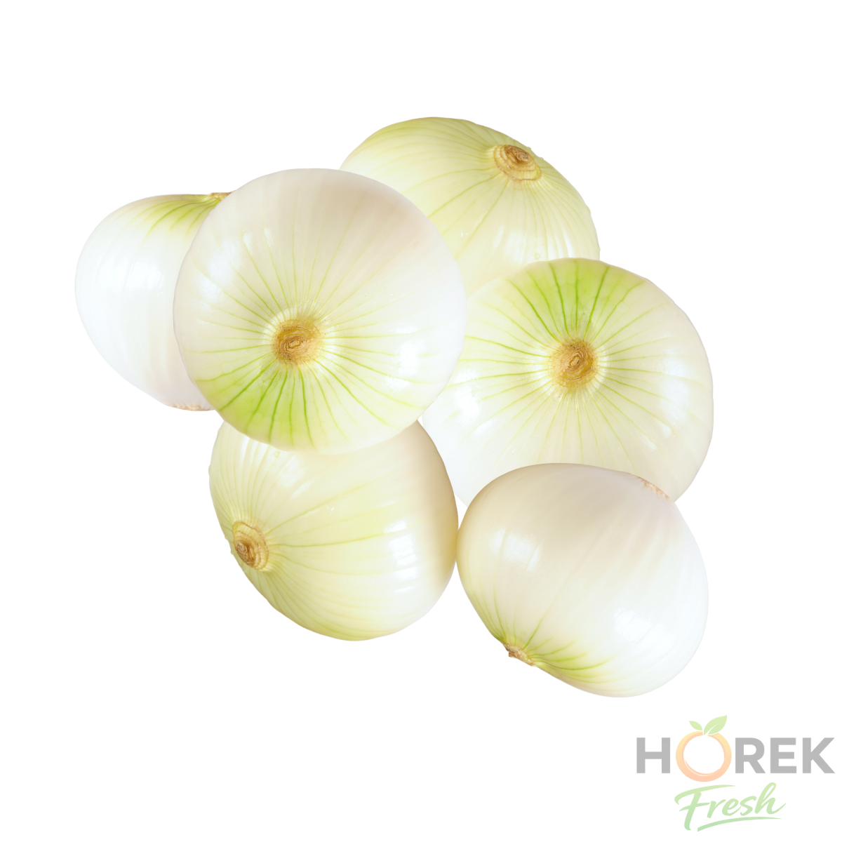 CEBOLLA BLANCA PELADA 500 GR 1